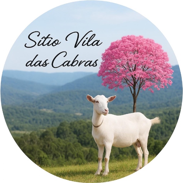 Logo de ANA ZELIA MENEZES BONFIM POUBEL 11552727149