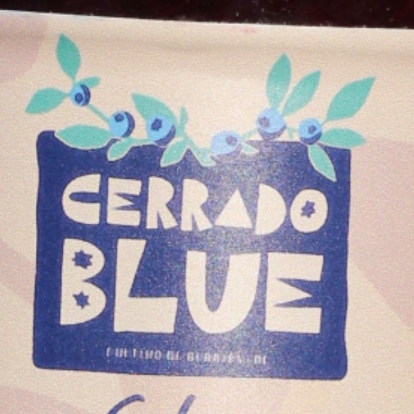 Logo de CERRADO BLUE INDUSTRIA E COMERCIO DE FRUTAS LTDA